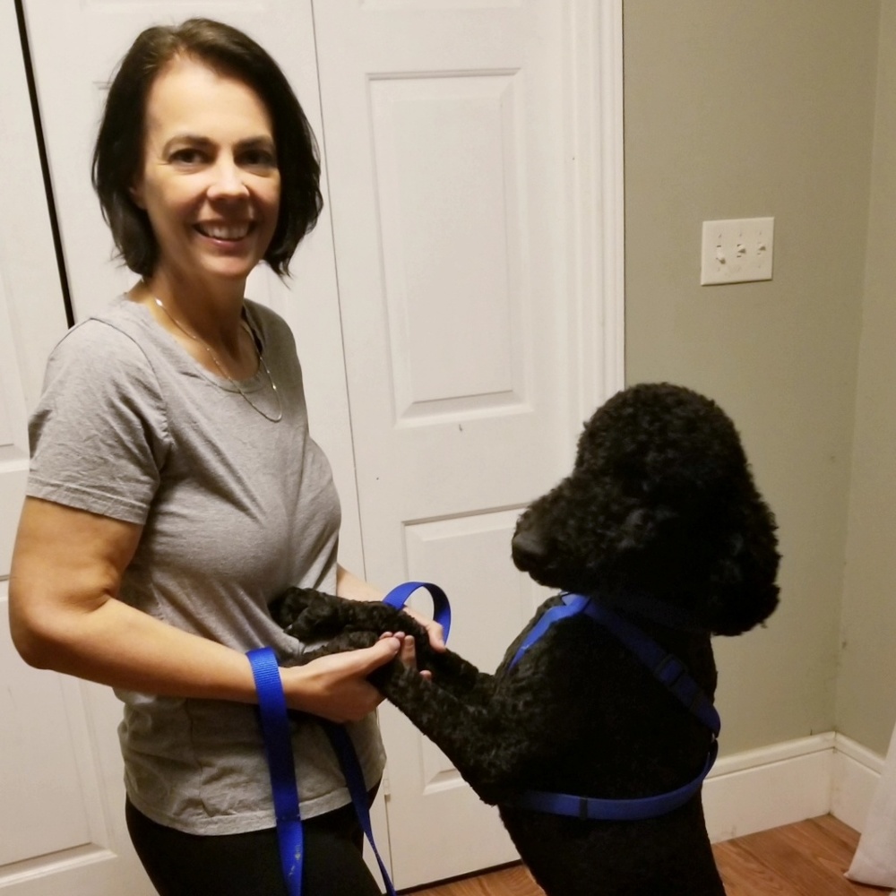 Meet your Posher, Elissa